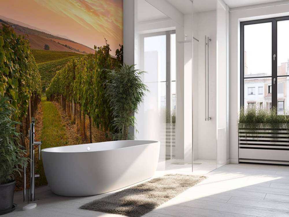 Wijngaard bij zonsondergang