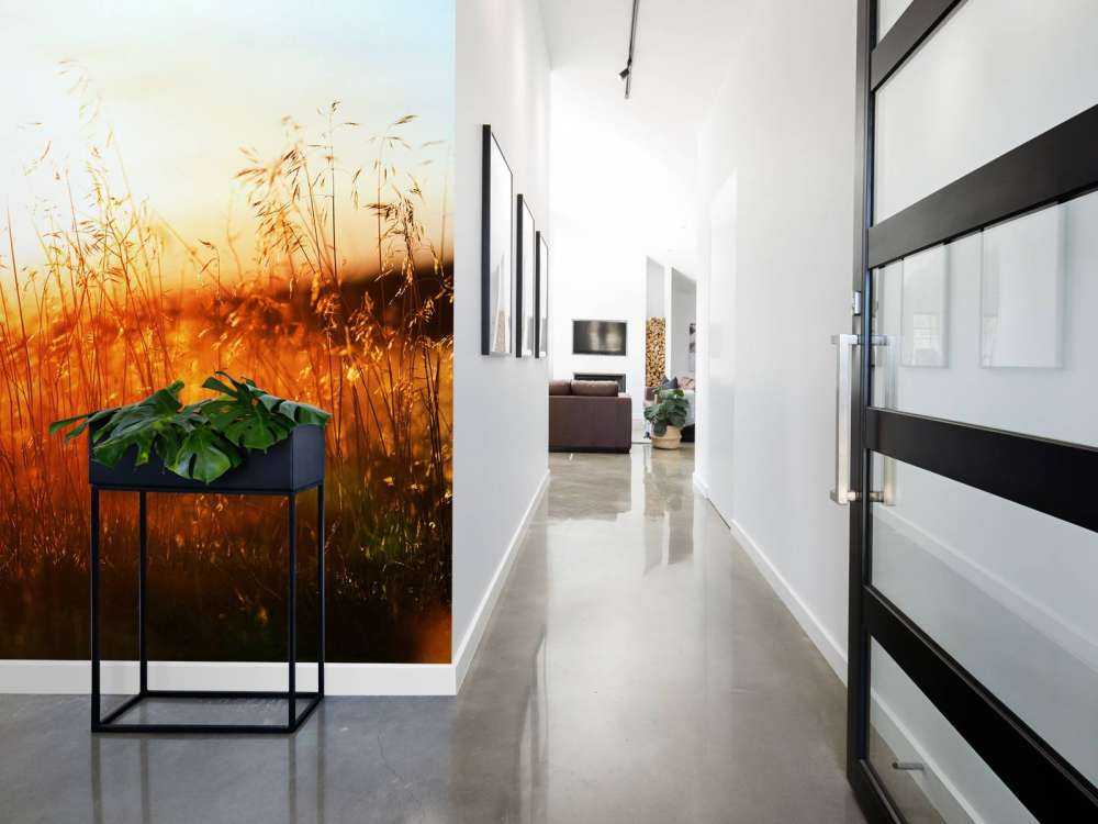 Een zonnige dag op de weide