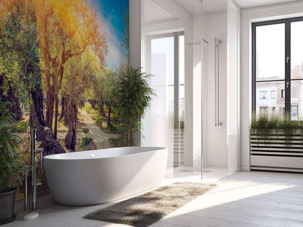 De Gethsemane olijven boomgaard bij zonsopkomst