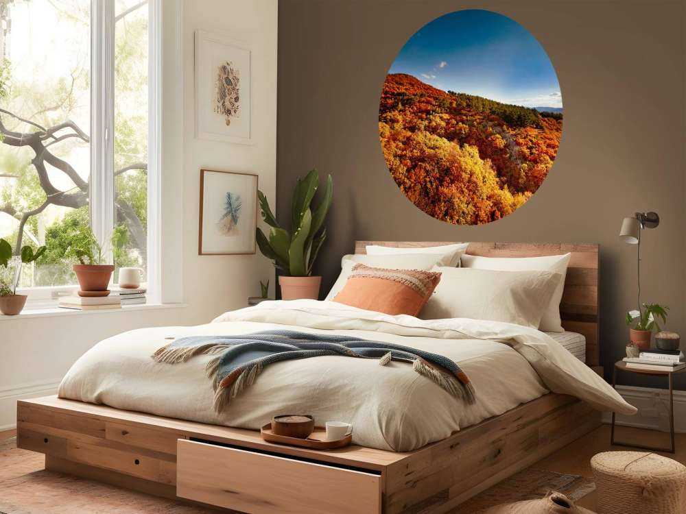 Landschap met gekleurde bomen