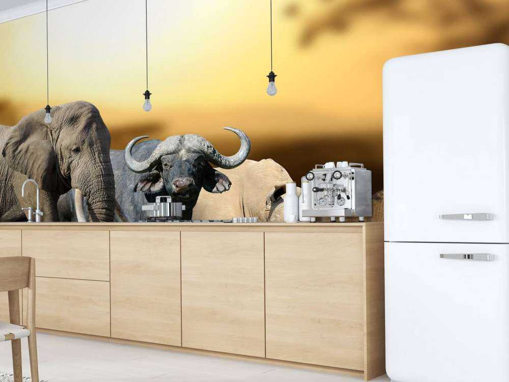 Grote Afrikaanse dieren