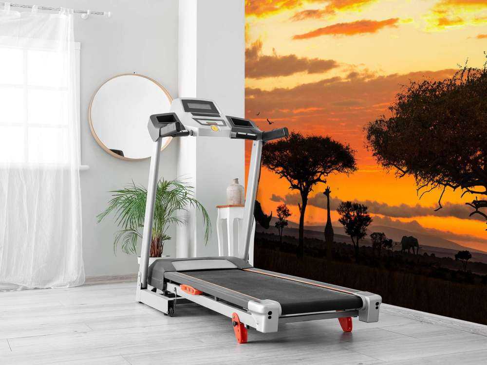 Safari in Afrika bij zonsondergang