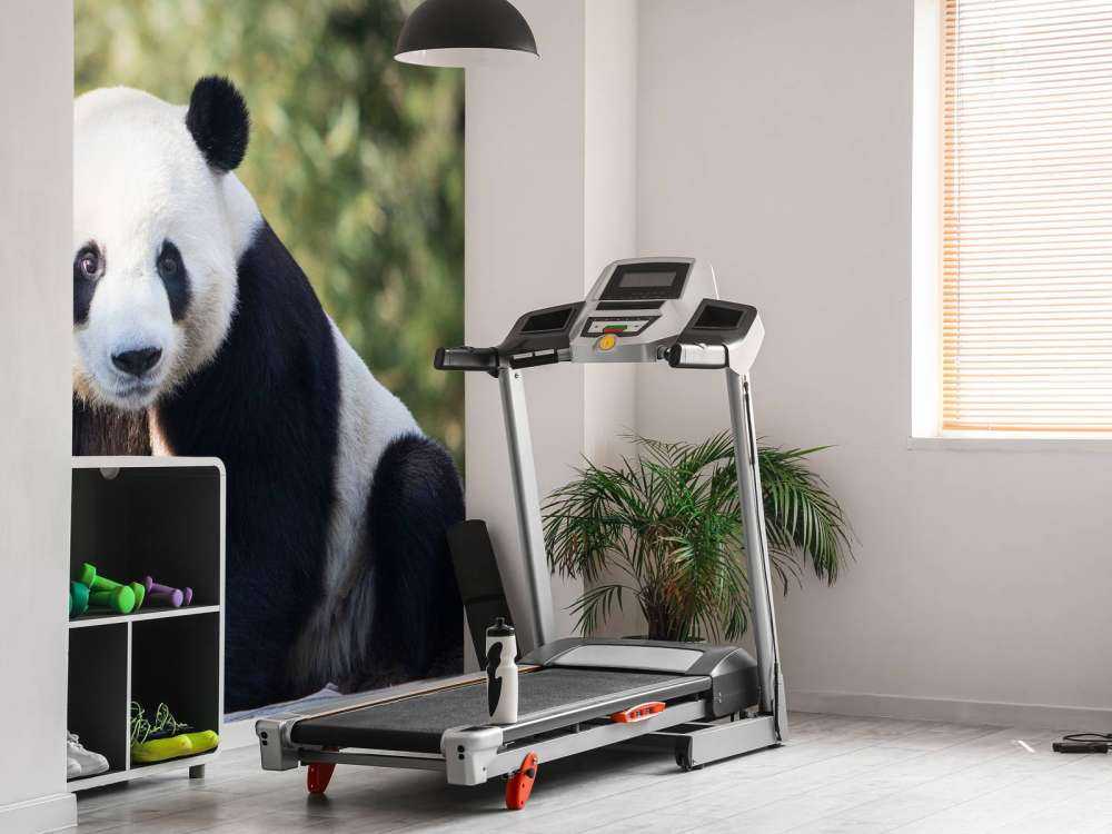 Panda op een houten balk