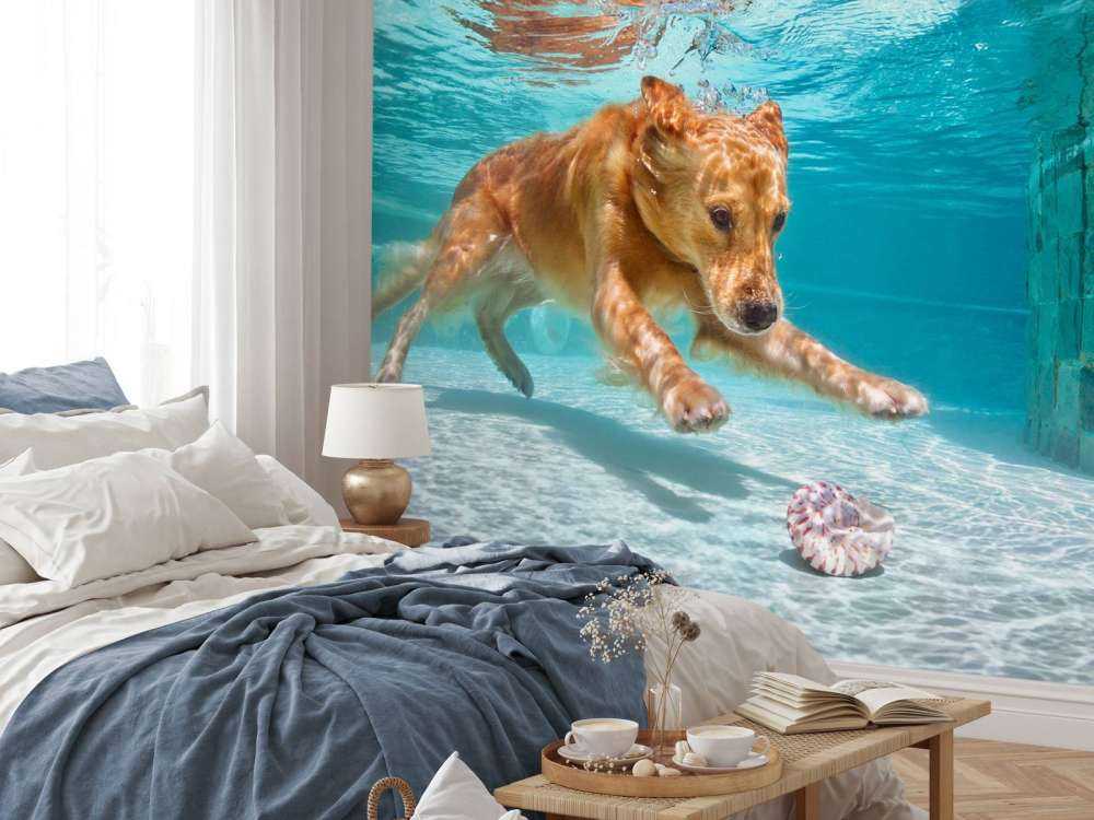 Labrador speelt onderwater