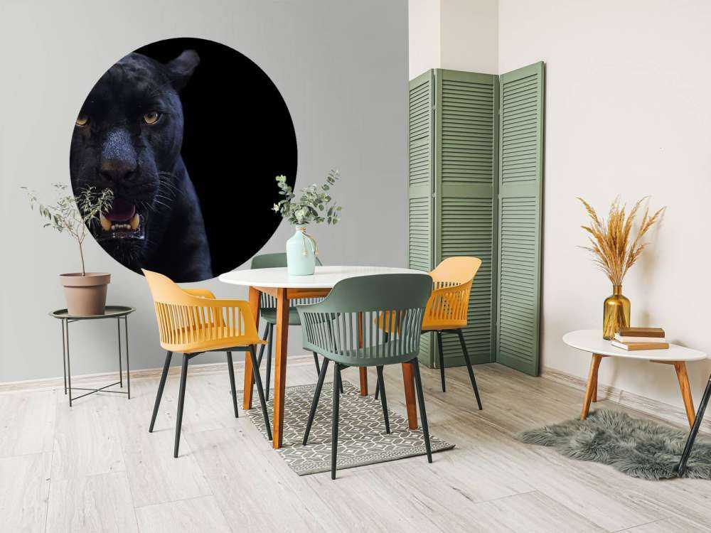 Panter met een zwarte achtergrond