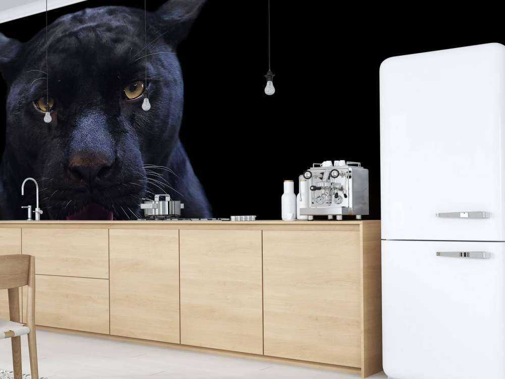 Panter met een zwarte achtergrond