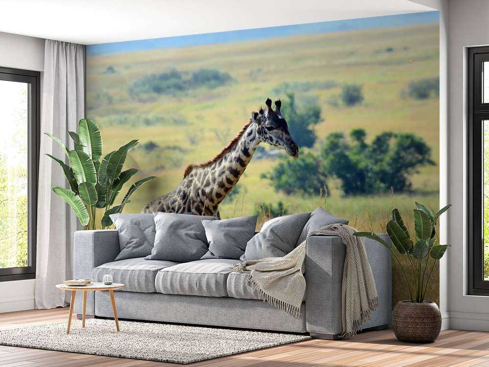 Lichte Giraffe in de natuur