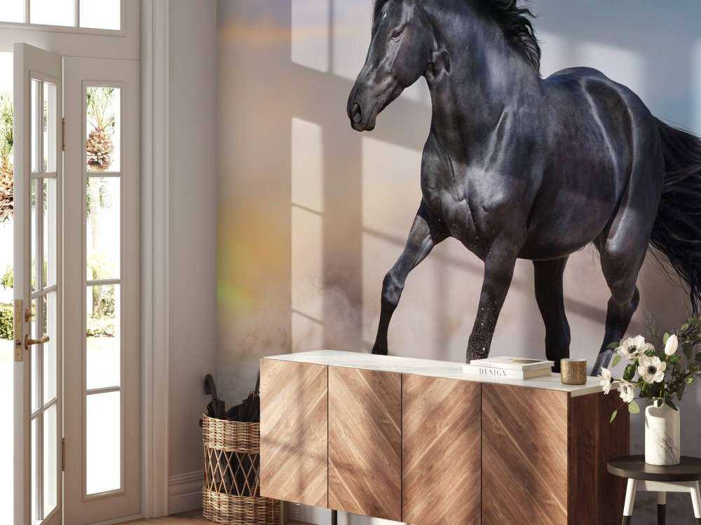 Mooi Zwart Paard in Zand