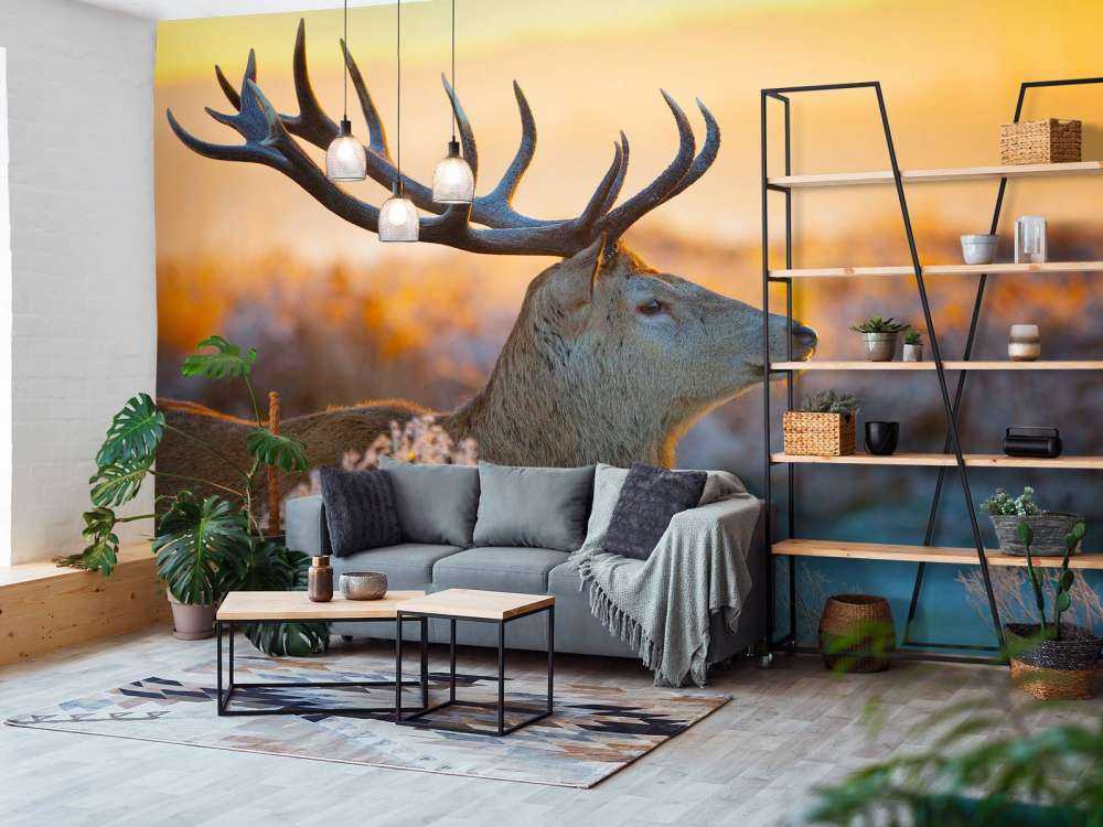 Edelhert met zichtbaar Gewei