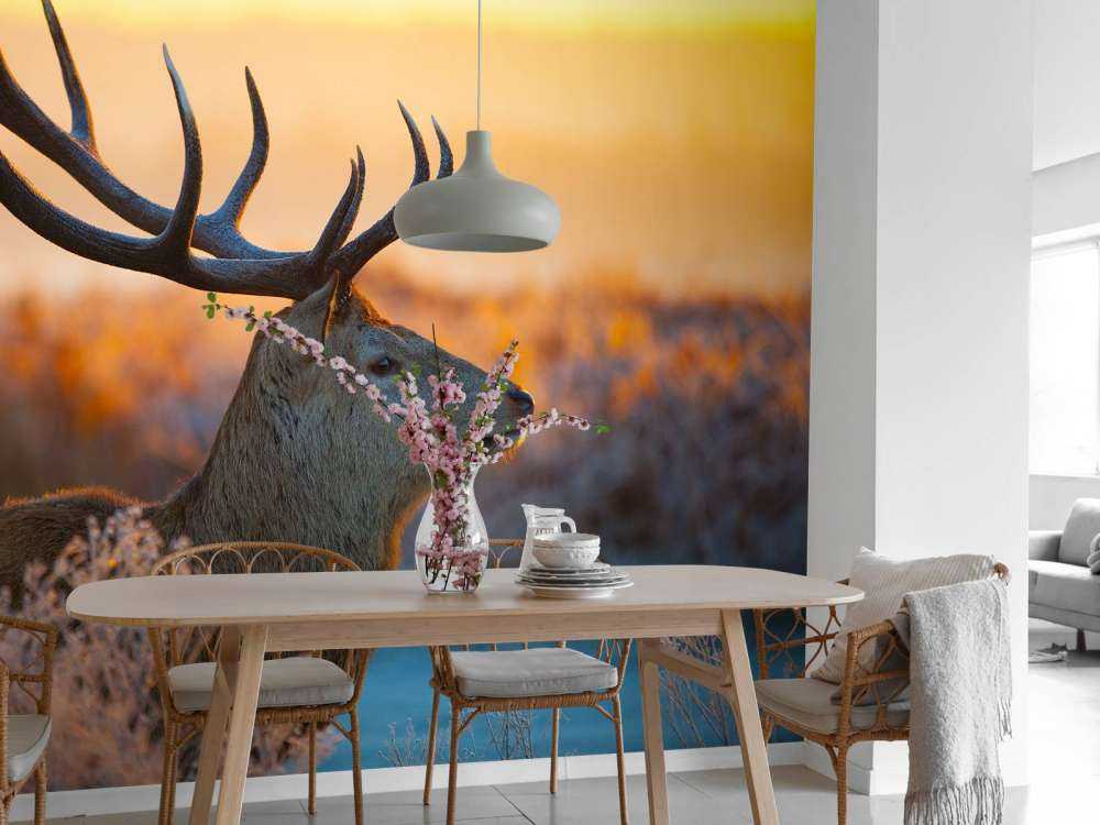 Edelhert met zichtbaar Gewei