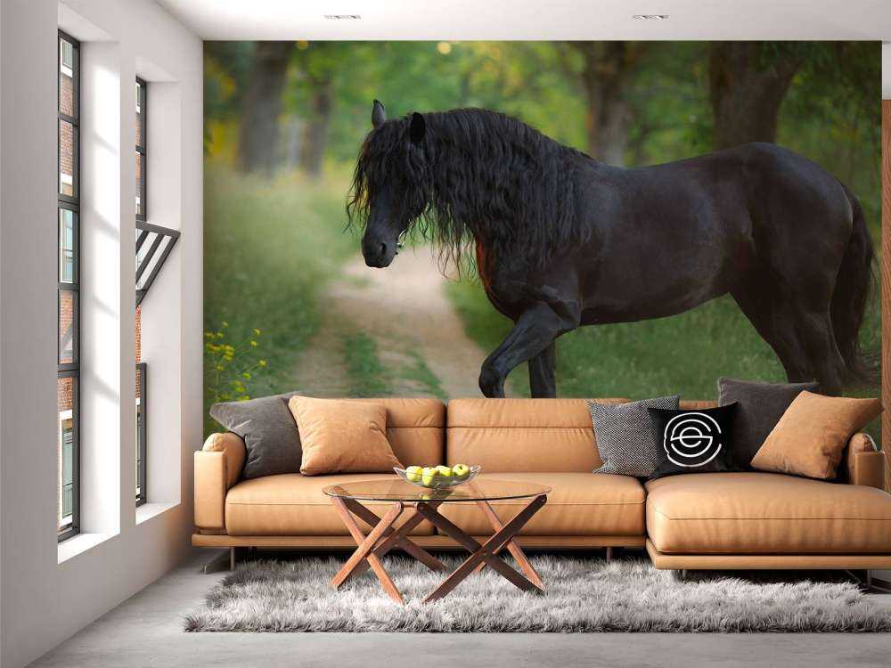 Fries Paard op een Zandweg