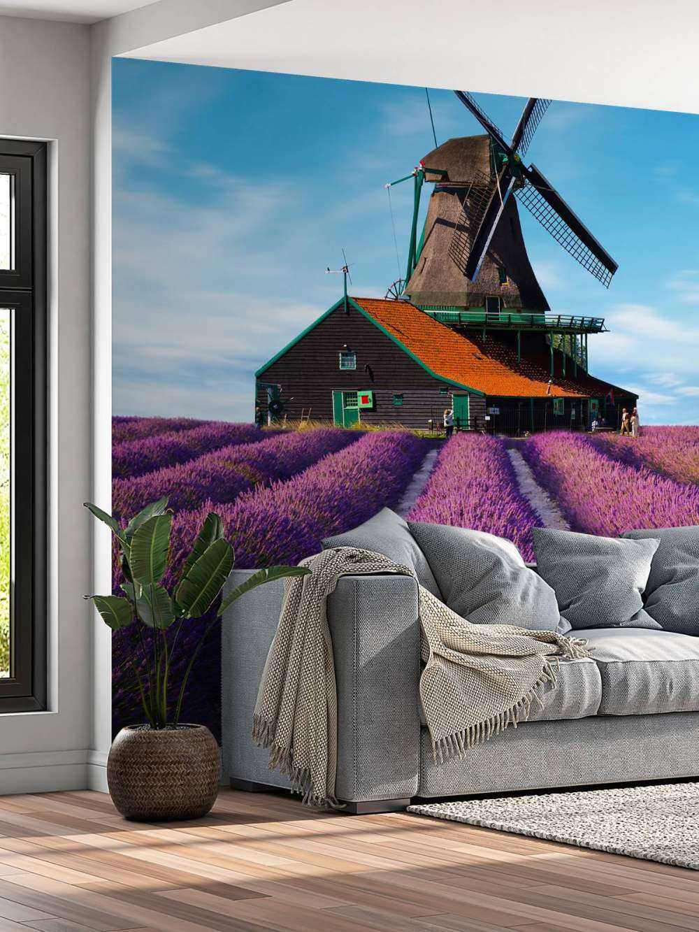 Lavendel veld met Windmolen op Achtergrond