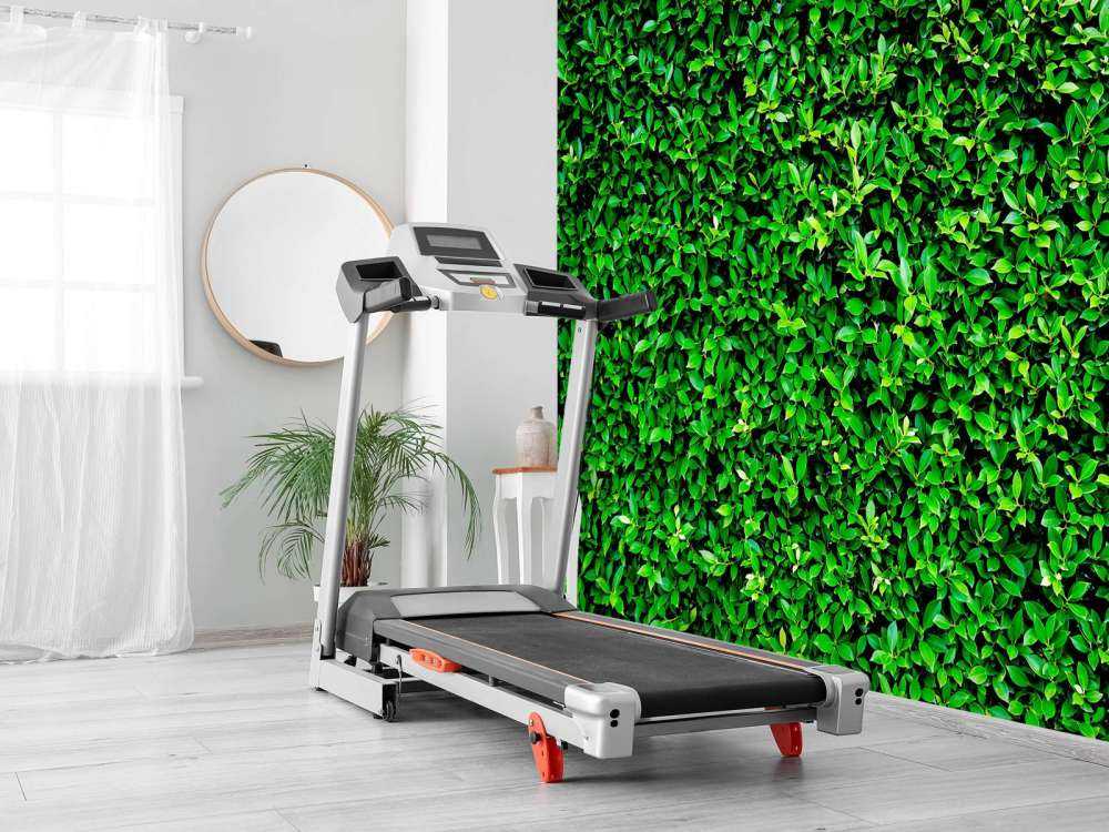 Groene Bladeren Textuur