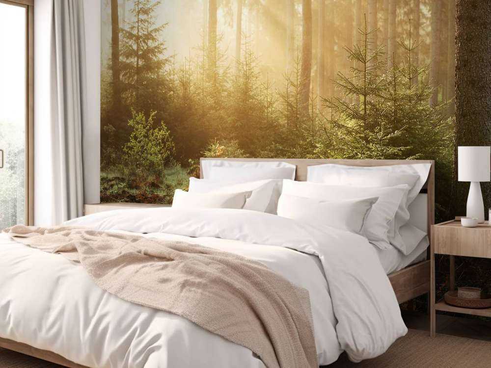 Zonnestralen door het bos