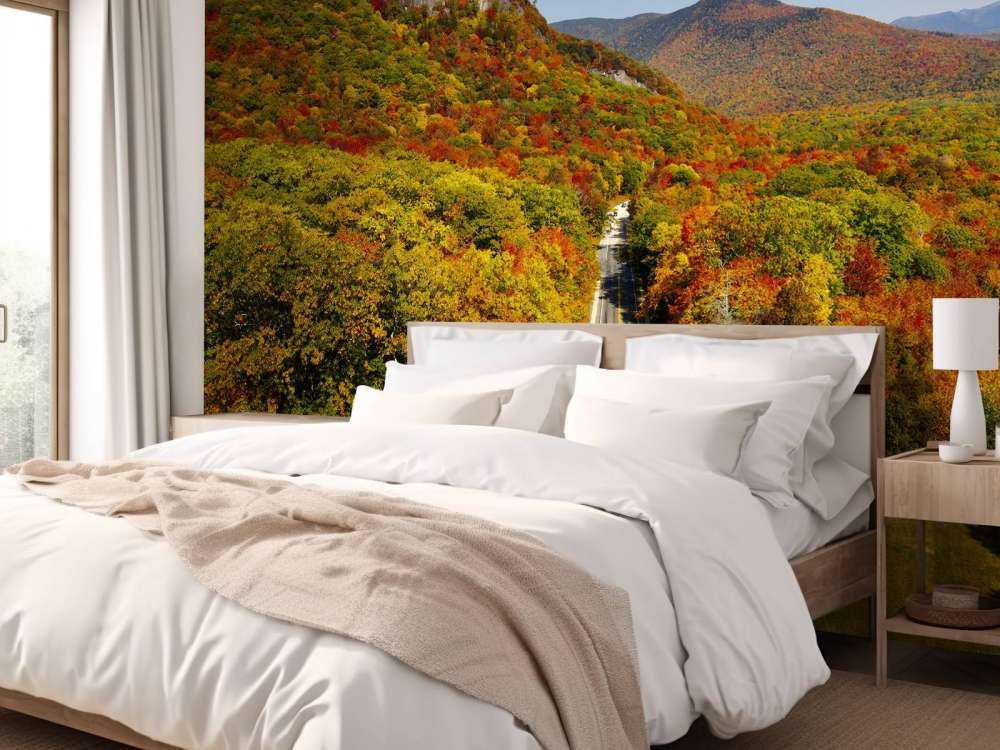 Weg door het herfstlandschap