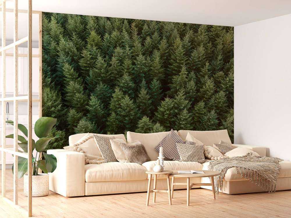 Douglassparren van boven