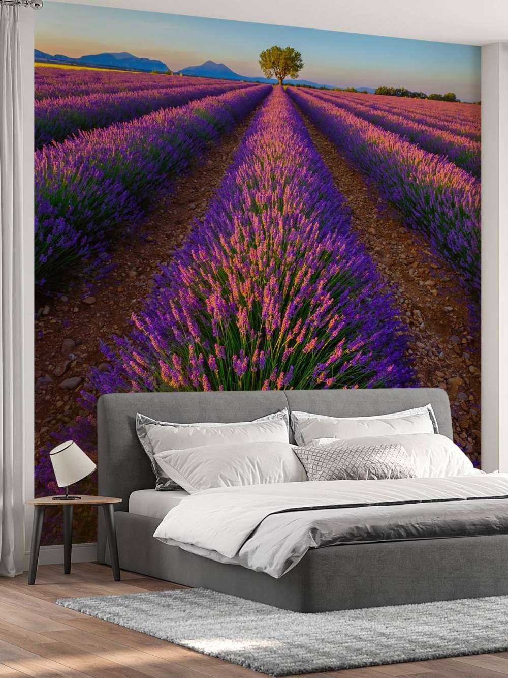 Lavendel bij zonlicht