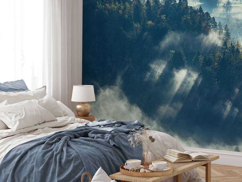 Mistig landschap