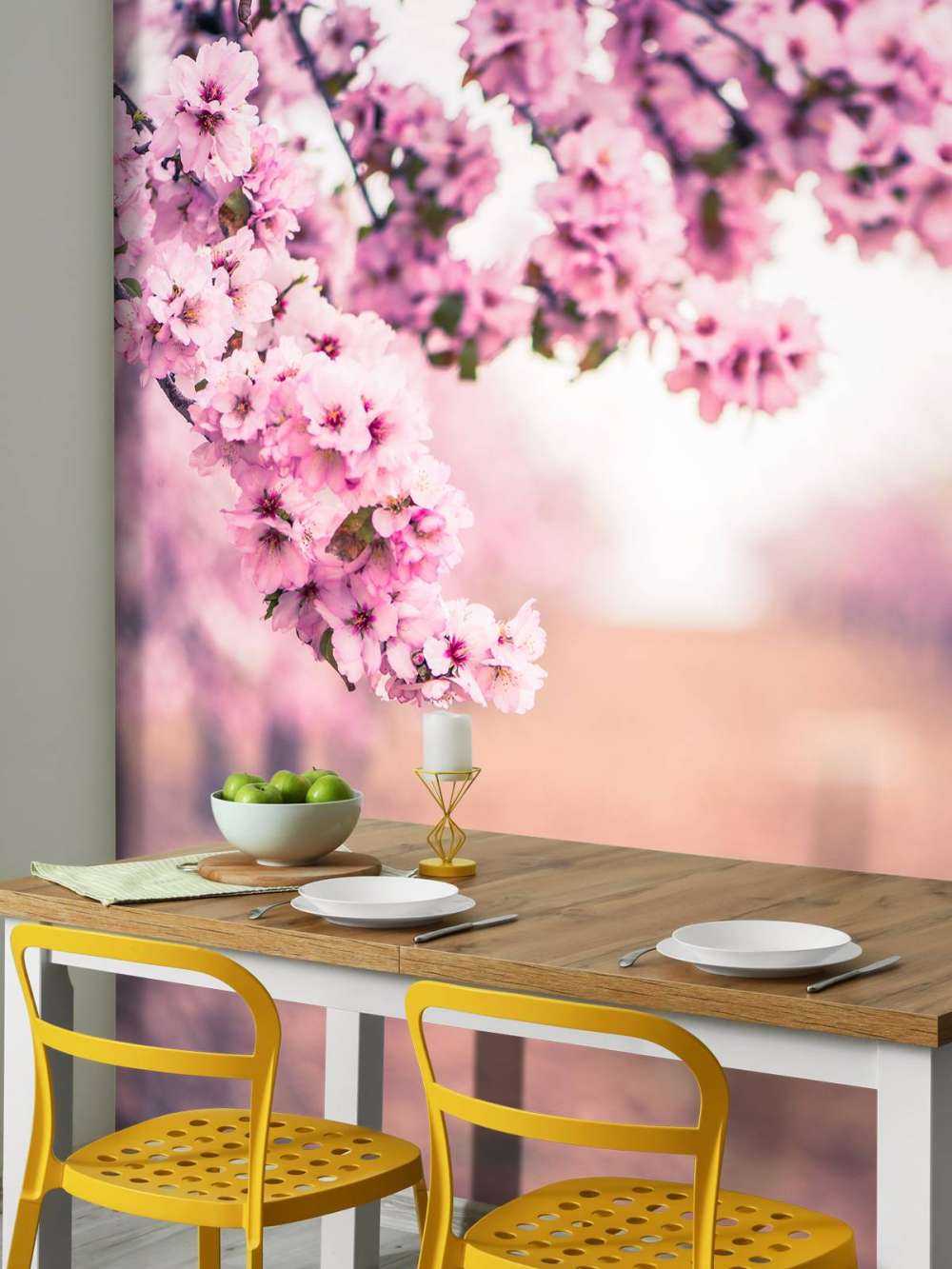 Paarse Japanse bloesems