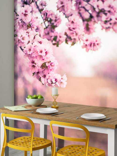 Paarse Japanse bloesems