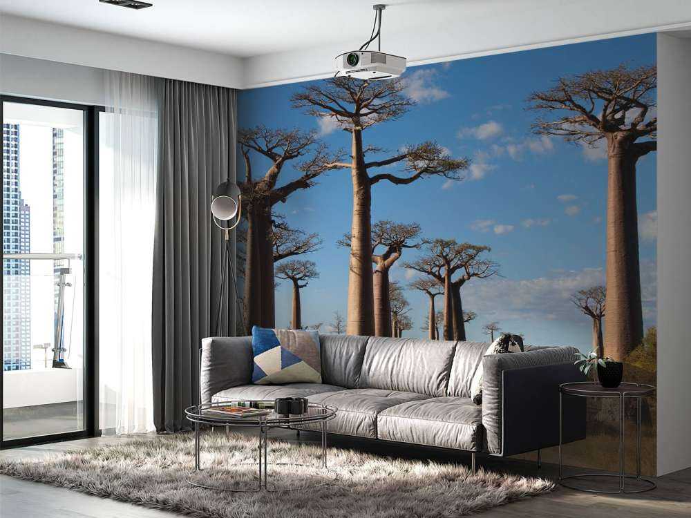 Baobab bomen