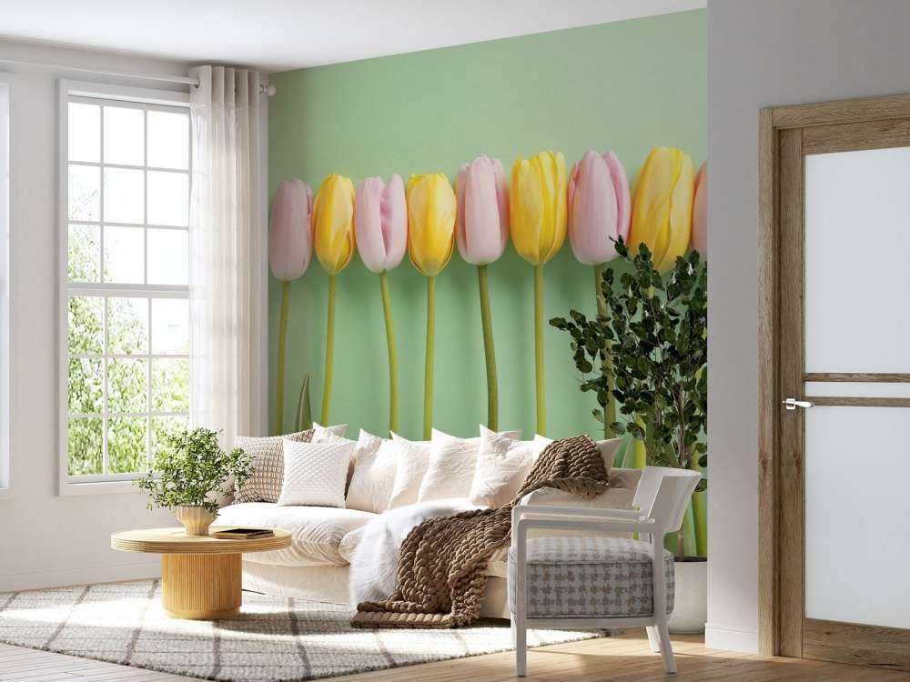 Tulpen op mintgroene achtergrond