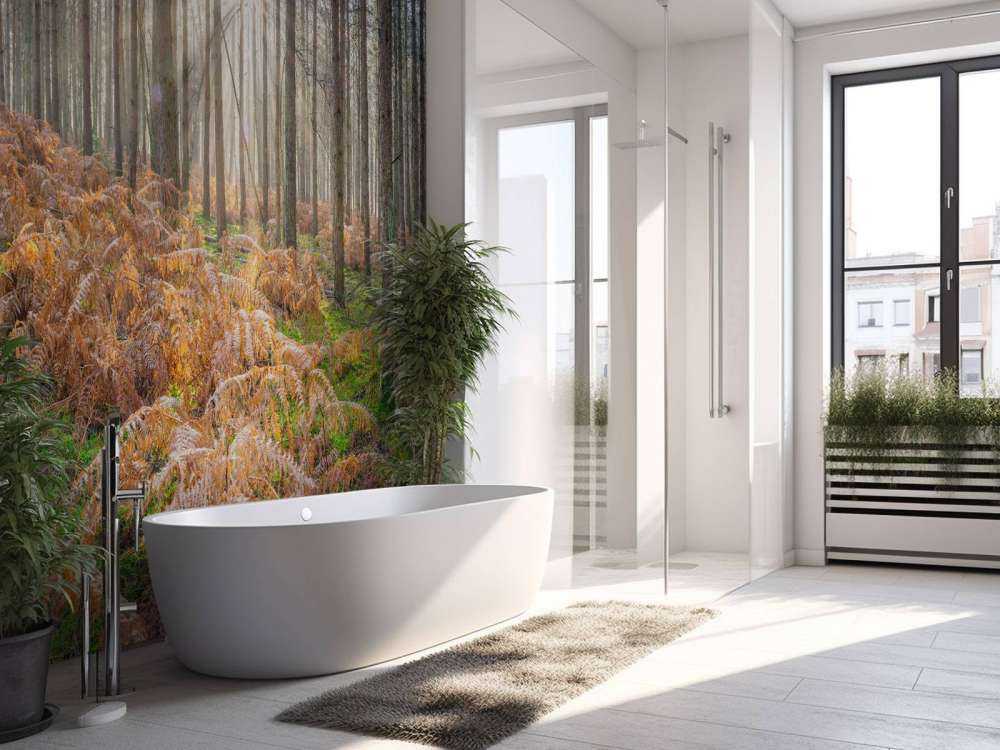 Bos tijdens de zonsopkomst