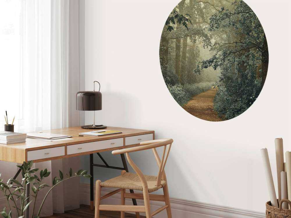 Pad door bos met mist