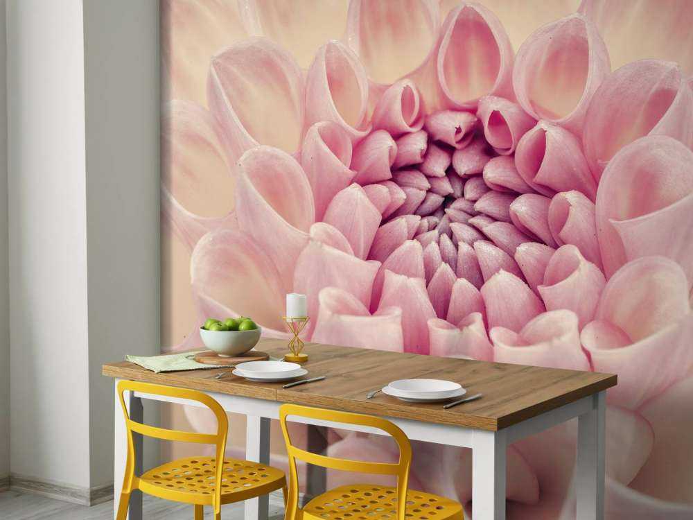 Dahlia close-up foto