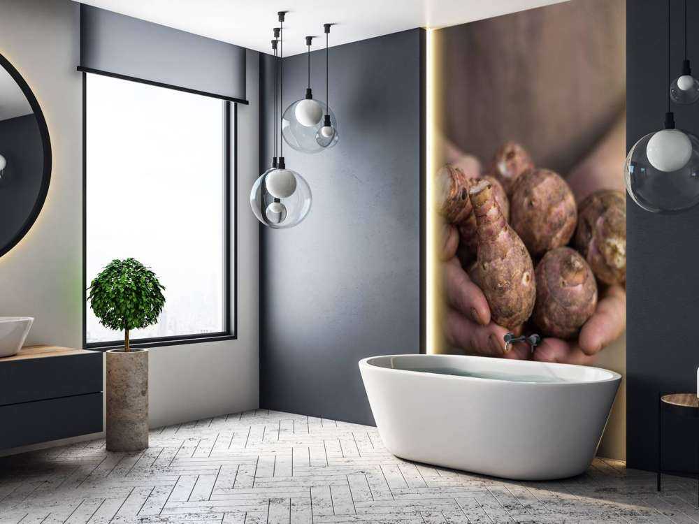 Aardproducten