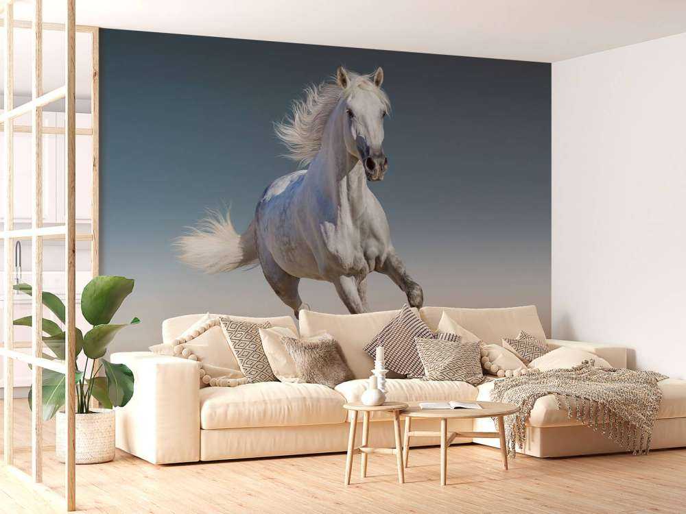 Galopperend paard
