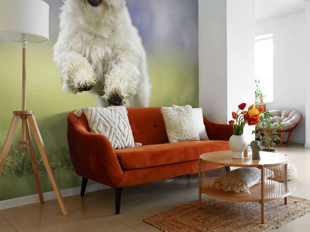 Rennende hond