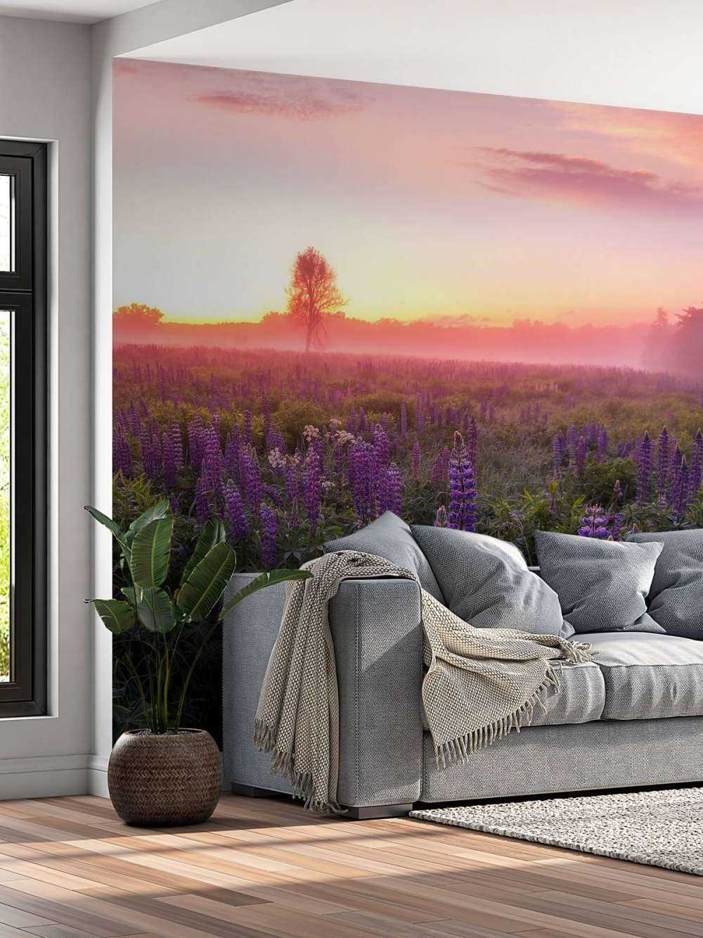 Bloeiende lupines